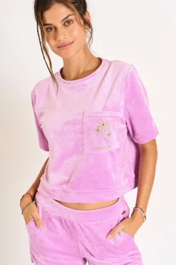 SHORT Paars SCOTTY SEALAKE